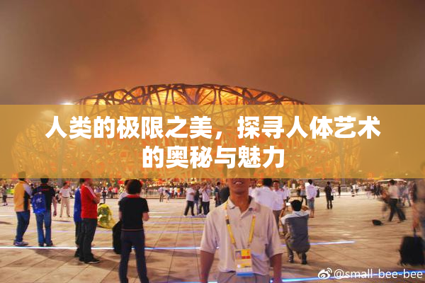 人类的极限之美，探寻人体艺术的奥秘与魅力