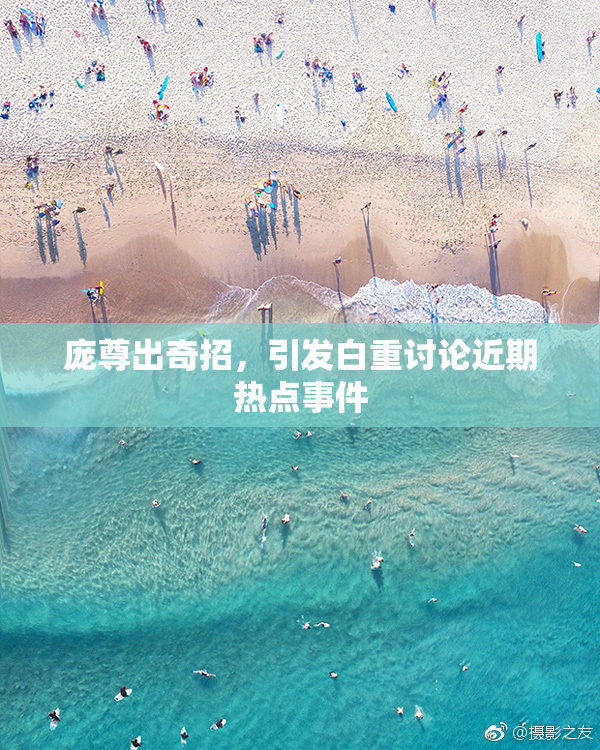 庞尊出奇招，引发白重讨论近期热点事件