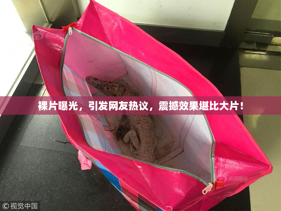 裸片曝光，引发网友热议，震撼效果堪比大片！