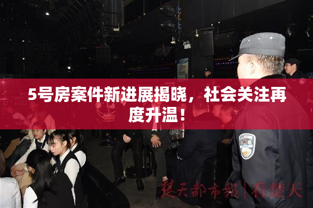 5号房案件新进展揭晓，社会关注再度升温！
