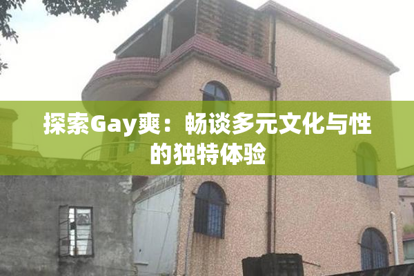 探索Gay爽：畅谈多元文化与性的独特体验