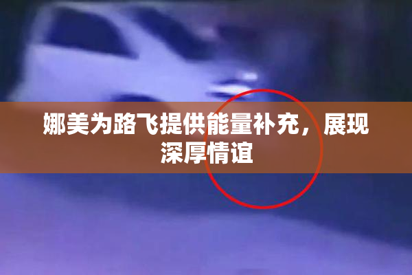 娜美为路飞提供能量补充，展现深厚情谊