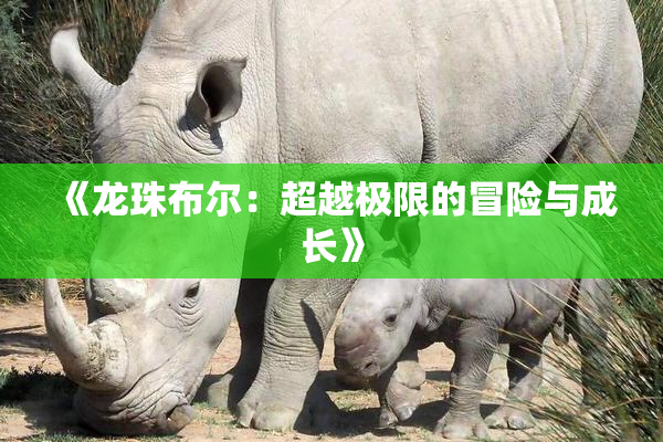 《龙珠布尔：超越极限的冒险与成长》