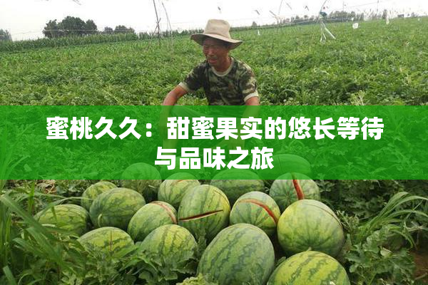 蜜桃久久：甜蜜果实的悠长等待与品味之旅