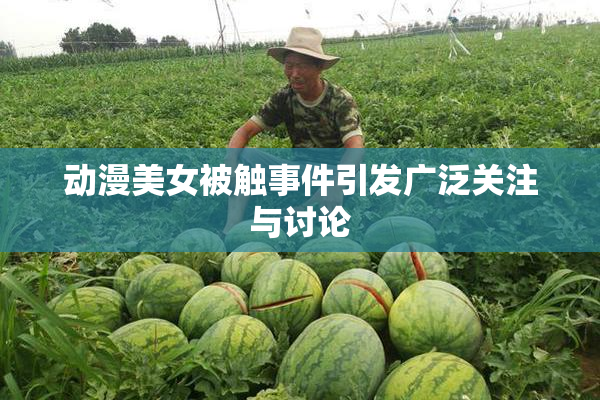 动漫美女被触事件引发广泛关注与讨论