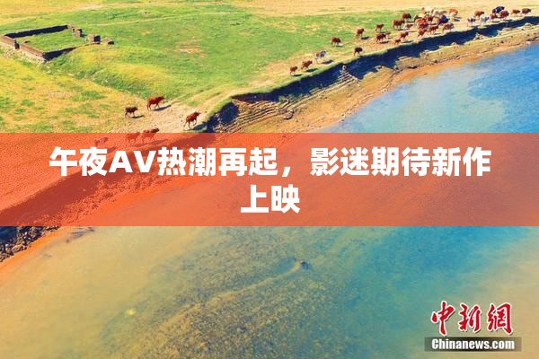 午夜AV热潮再起，影迷期待新作上映
