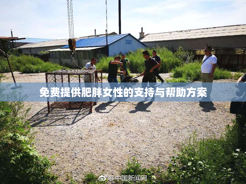 免费提供肥胖女性的支持与帮助方案