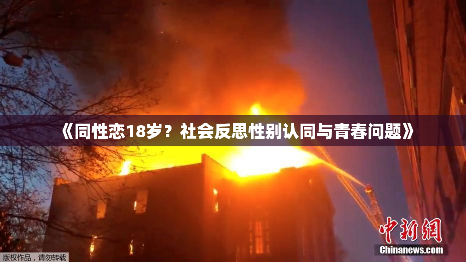 《同性恋18岁？社会反思性别认同与青春问题》