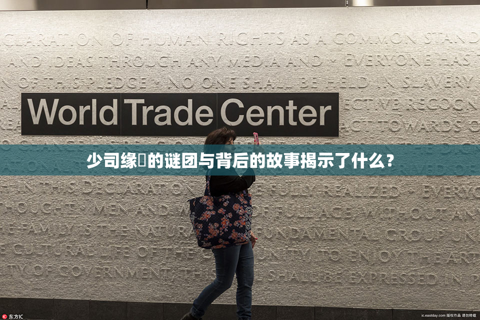 少司缘婬的谜团与背后的故事揭示了什么？