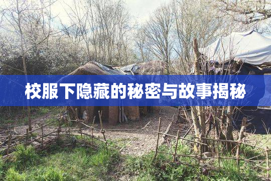 校服下隐藏的秘密与故事揭秘