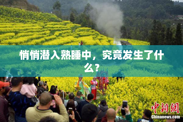 悄悄潜入熟睡中，究竟发生了什么？