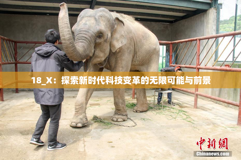 18_X：探索新时代科技变革的无限可能与前景