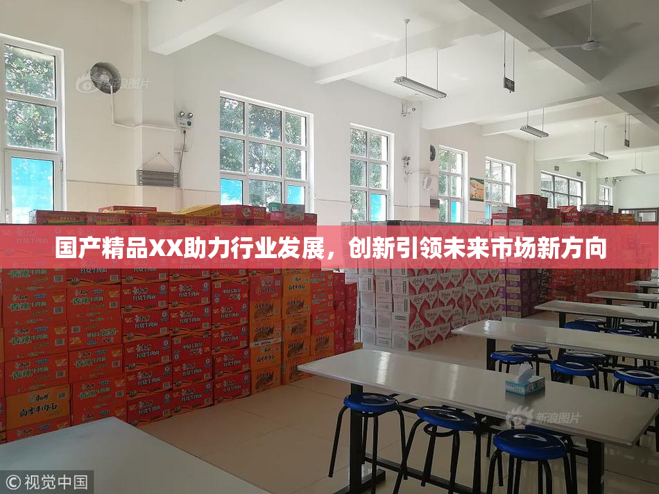 国产精品XX助力行业发展，创新引领未来市场新方向