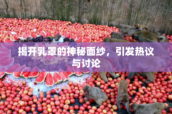 揭开乳罩的神秘面纱，引发热议与讨论