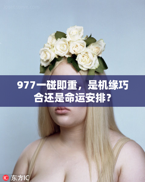 977一碰即重，是机缘巧合还是命运安排？