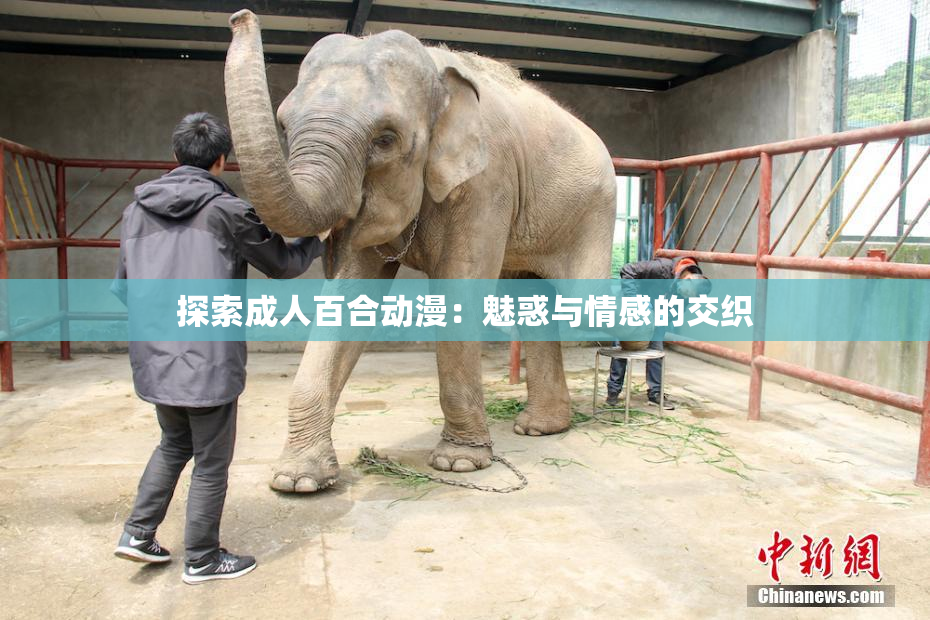 探索成人百合动漫：魅惑与情感的交织