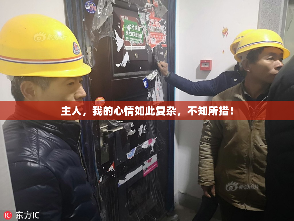 主人，我的心情如此复杂，不知所措！