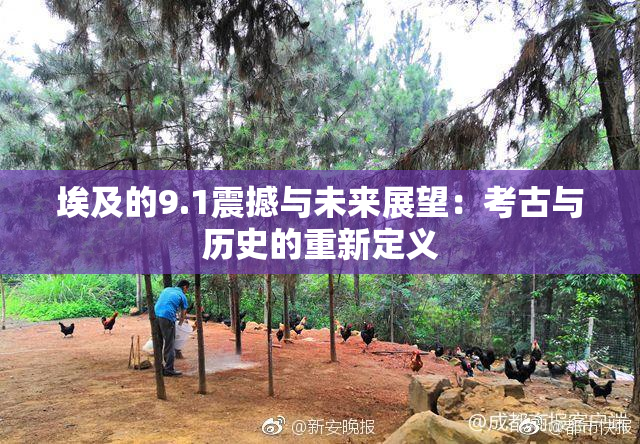 埃及的9.1震撼与未来展望：考古与历史的重新定义