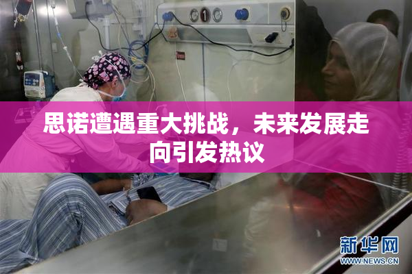 思诺遭遇重大挑战，未来发展走向引发热议