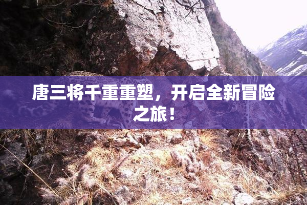 唐三将千重重塑，开启全新冒险之旅！