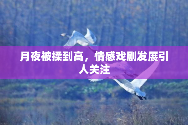月夜被揉到高，情感戏剧发展引人关注