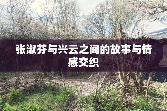 张淑芬与兴云之间的故事与情感交织
