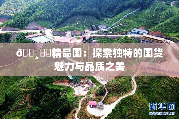 🌸‌✿精品国：探索独特的国货魅力与品质之美