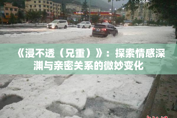 《浸不透（兄重）》：探索情感深渊与亲密关系的微妙变化