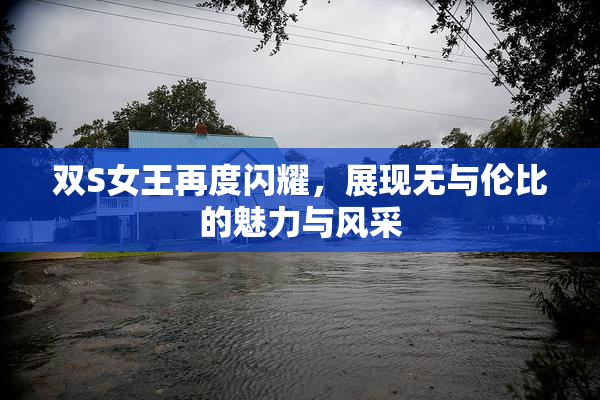 双S女王再度闪耀，展现无与伦比的魅力与风采