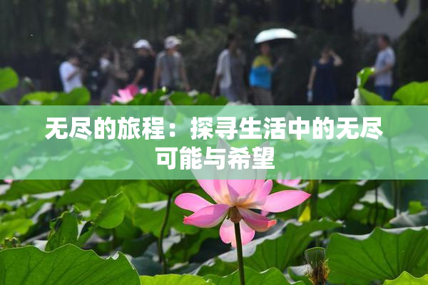 无尽的旅程：探寻生活中的无尽可能与希望