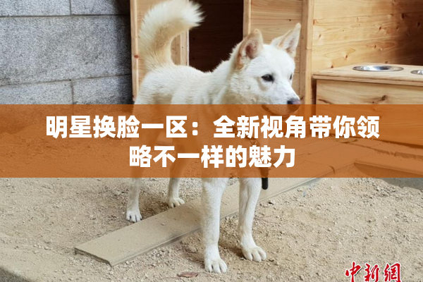 明星换脸一区：全新视角带你领略不一样的魅力