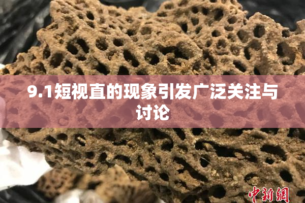 9.1短视直的现象引发广泛关注与讨论