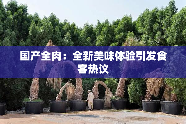 国产全肉：全新美味体验引发食客热议