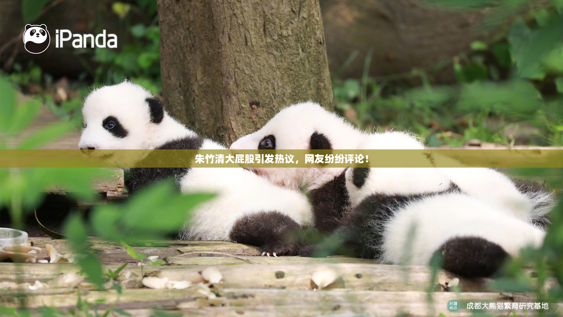 朱竹清大屁股引发热议，网友纷纷评论！