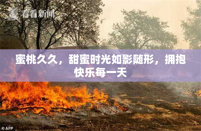 蜜桃久久，甜蜜时光如影随形，拥抱快乐每一天