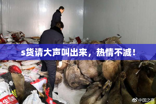 s货请大声叫出来，热情不减！