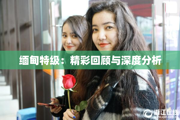 缅甸特级：精彩回顾与深度分析