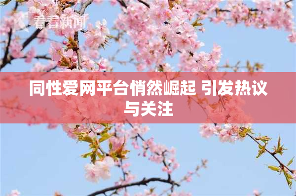 同性爱网平台悄然崛起 引发热议与关注
