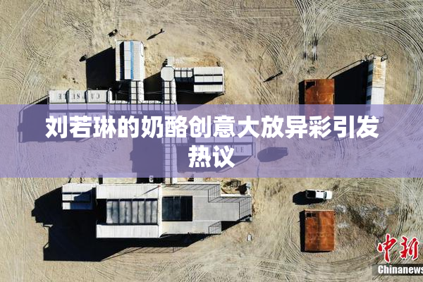 刘若琳的奶酪创意大放异彩引发热议