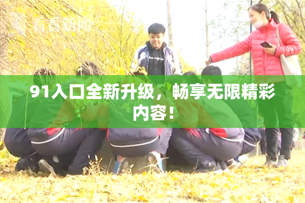 91入口全新升级，畅享无限精彩内容！