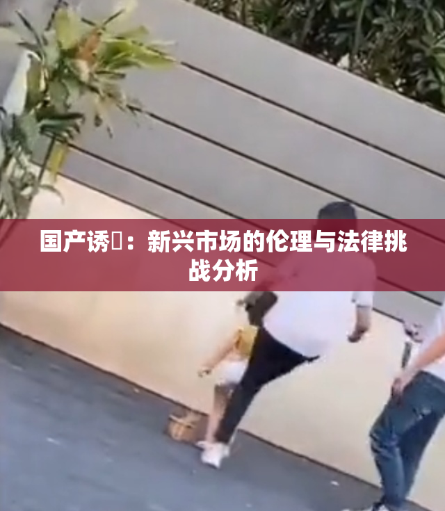 国产诱奷：新兴市场的伦理与法律挑战分析
