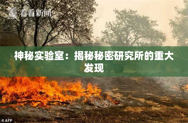 神秘实验室：揭秘秘密研究所的重大发现
