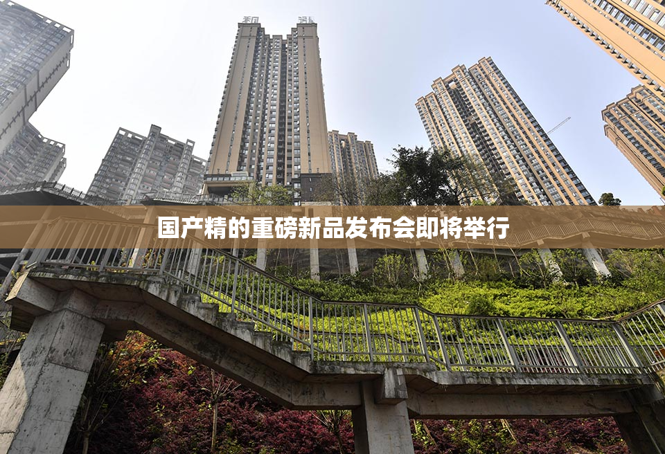 国产精的重磅新品发布会即将举行