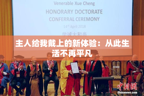 主人给我戴上的新体验：从此生活不再平凡