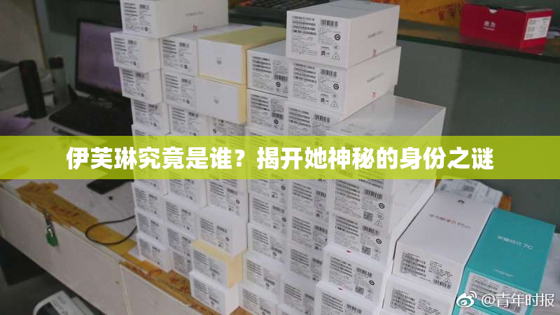 伊芙琳究竟是谁？揭开她神秘的身份之谜