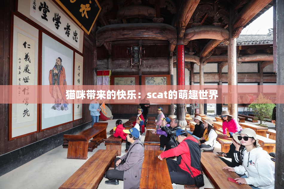 猫咪带来的快乐：scat的萌趣世界