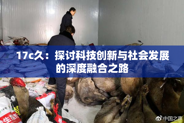 17c久：探讨科技创新与社会发展的深度融合之路