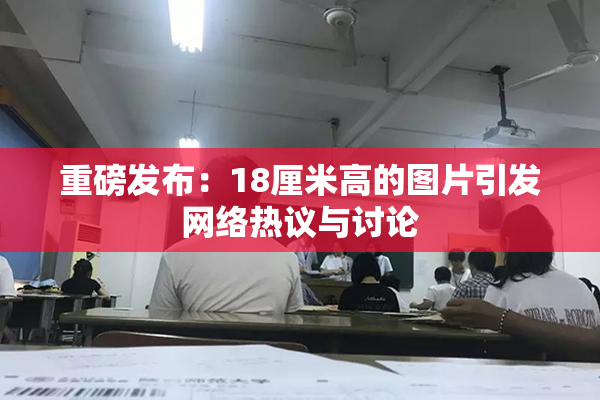 重磅发布：18厘米高的图片引发网络热议与讨论