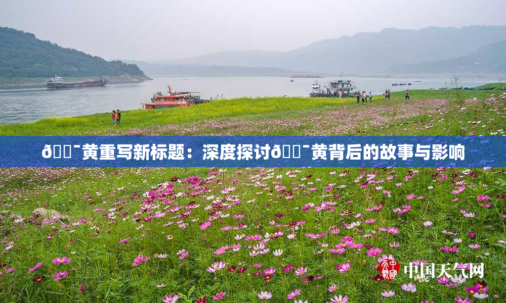 🔯黄重写新标题：深度探讨🔯黄背后的故事与影响