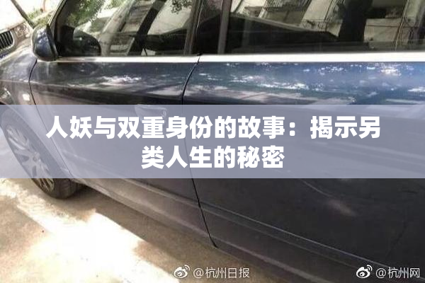 人妖与双重身份的故事：揭示另类人生的秘密